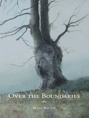 cover image of Over the Boundaries